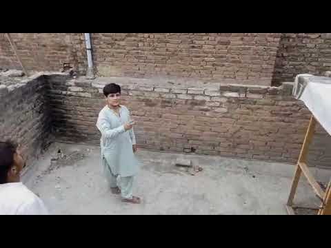 pigeons video Ak vlog ❤️❤️