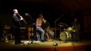Ben Goldberg Trio - Live at Ulrichsberger Kaleidophon, Austria, 2014-05-03 - Palindromic