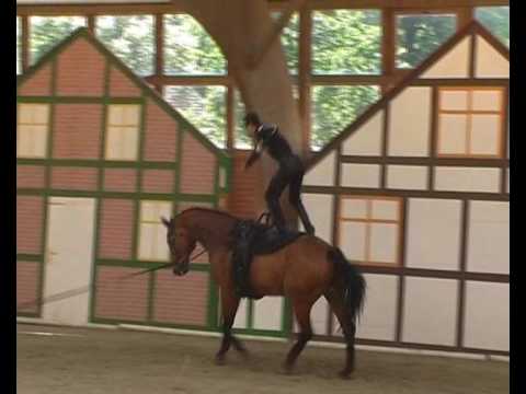 CVI** Krumke 2010 - Ivan Nousse (Kür)