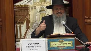 נביאים כתובים | הרב דוד לוי | ספר משלי - פרק יז' פסוק -ט' - כט' - תשפ"ה