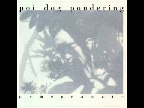 Complicated - Poi Dog Pondering
