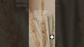 Download lagu story wa 30 detik ~ kata mutiara islami yang menyentuh hati #shorts #nasihatdirichannel #storywa mp3 Download lagu story wa 30 detik ~ kata mutiara islami yang menyentuh hati #shorts #nasihatdirichannel #storywa mp3