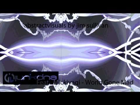 JunkDNA Feat. Mickiyagi - World Gone Mad - official clip.avi