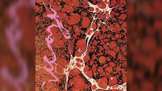Iceage - Pain Killer (feat. Sky Ferreira) [From the Album Beyondless]