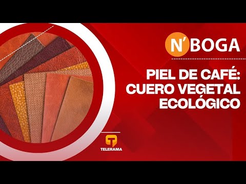 Piel de café: Cuero vegetal ecológico