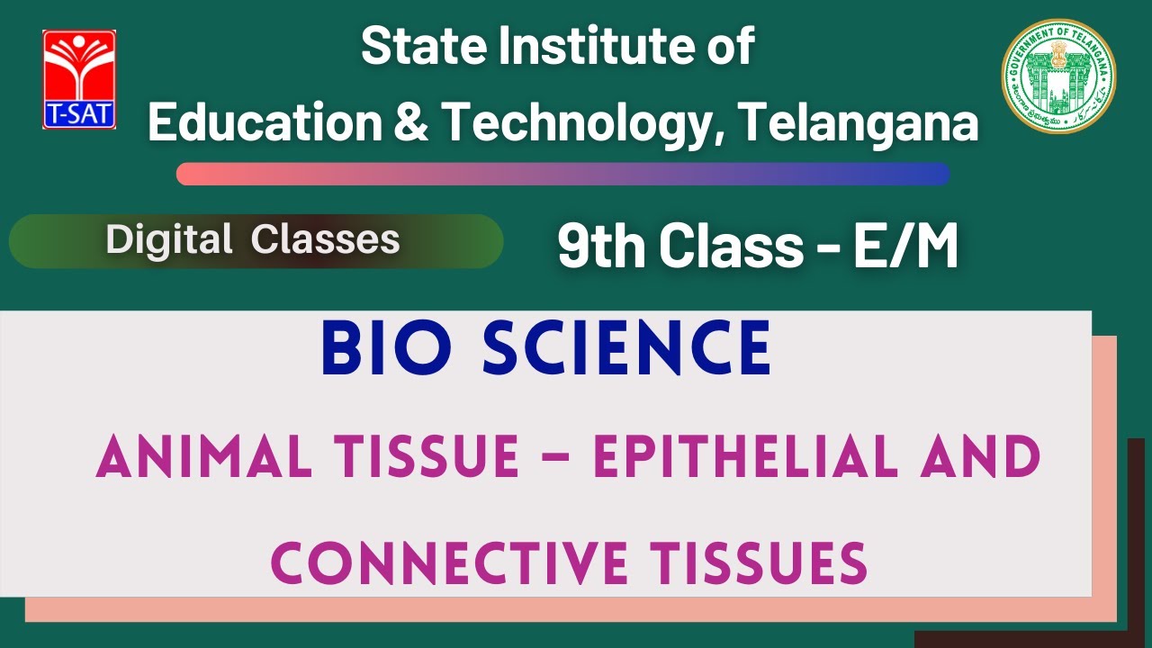 9th Class (E/M) || BIO SCIENCE - Animal Tissue – Epithelial and Connective Tissues
