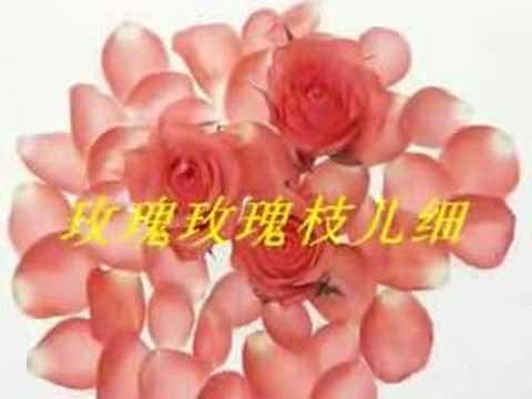 玫瑰玫瑰我爱你 - Rose Rose I love you - 歌手：姚莉