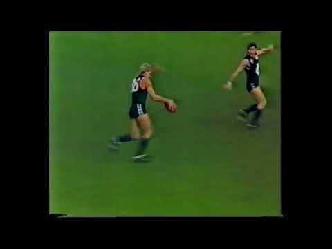 1986 Round 12 - Carlton Only Highlights - MCG - Carlton Blues vs  Hawthorn Hawks