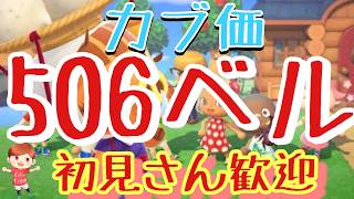 【あつ森】カブ価506ベル島などライブ参加型
