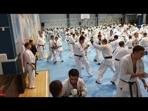 Mikio Ueda vs Andrei Luzin (January 11, 2020)