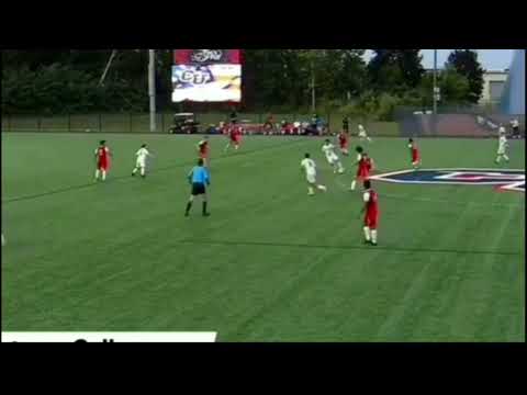 Alessandro Carnicelli ( Goals )