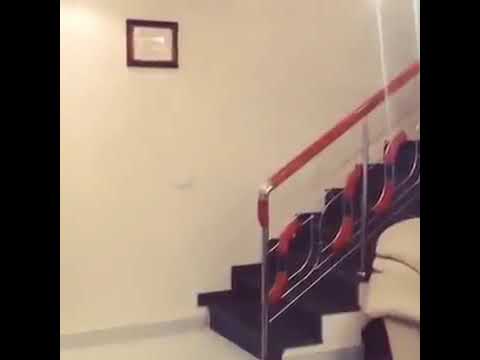 Română vs tigan 😂😂❤