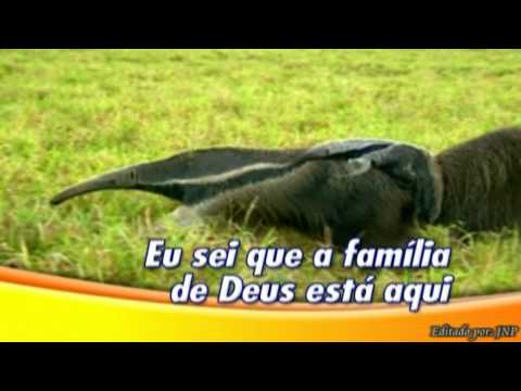 A glória de Deus - hino congregacional - Por Jaime Pires.