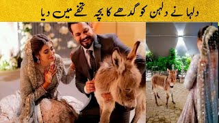 VIDEO OF AZLAN SHAH GIFTING BABY DONKEY TO WARISHA