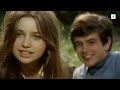 That Splendid November 1969 Movie Explained In Bangla Cinemar Golpo Movie Golpo Afnan Cottage