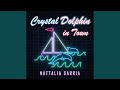 Crystal Dolphin (From "Engelwood")