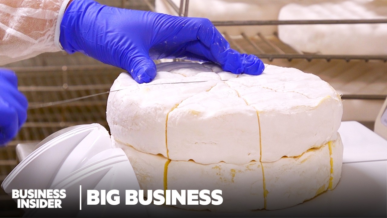 The Mold Behind Brie Cheese Could Face Extinction. Can We Save It? | Big Business | Business Insider