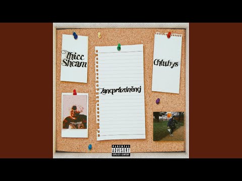 Zaneprázdněnej (feat. Thicc Sheam)