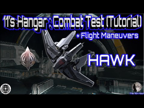 Star Citizen: Anvil Hawk Combat Test Flight (Maneuvers Tutorial)