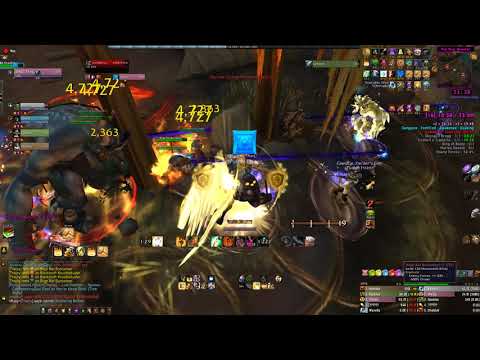 Freehold Mythic +16 score +1 FORTIFIED SANGUINE QUAKING AWAKENED prot pala