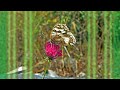 Nils Lofgren - Youre not There