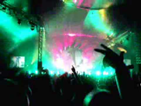 Pnau vs pryda - Baby bug stock