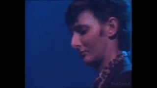 The Bad Seeds w/ Rowland S. Howard (Birthday Party &quot;reunion&quot;)
