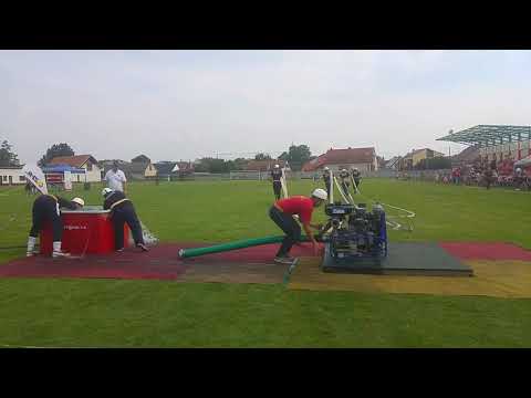 DHZ Dojč muži -Sekule - 1/2 - 24.8.2019