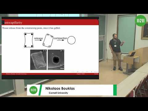 Dr. Nikolaos Bouklas | Reconfiguration and healing of contractile microtissues