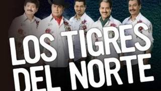 La Ultima Copa-Los Tigres del Norte