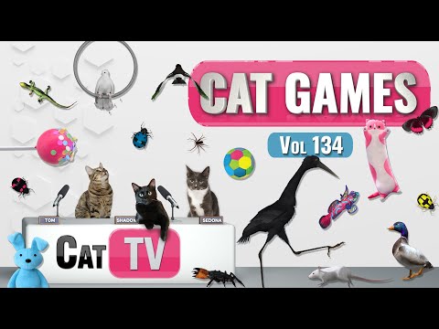 CAT Games | Ultimate Cat TV Compilation Vol 134 | 8 HOURS  🐝🐞🦋🦎🦜🐜🐭🧵