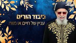 כיבוד הורים - עניין של חיים או מוות! | מרן רבינו עובדיה יוסף זצ''ל (מורשת מרן) - התמונה מוצגת ישירות מתוך אתר האינטרנט יוטיוב. זכויות היוצרים בתמונה שייכות ליוצרה. קישור קרדיט למקור התוכן נמצא בתוך דף הסרטון