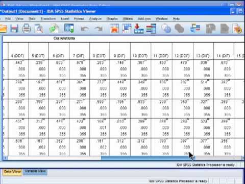 Streamlined Correlation Matrix - SPSS