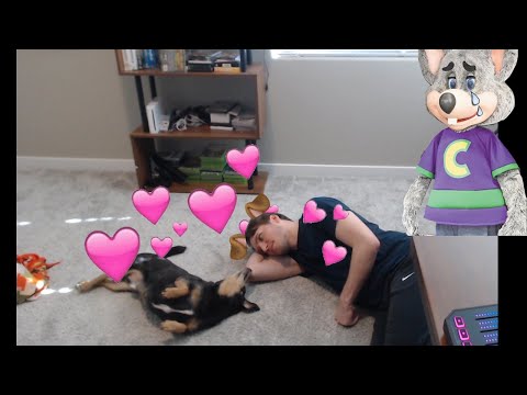 Guilt Tripped Otto Cam | Jerma Highlight (IRL Otto Stream)