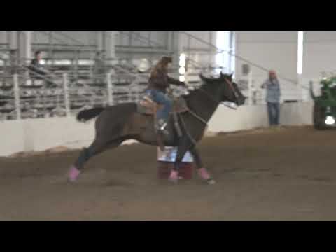 Kathy McClure and Northern Dancer Walla Walla race #1 9-30-17