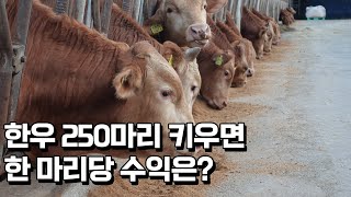 한우 키우면서 5,000만원 추가 수익 올리는 법