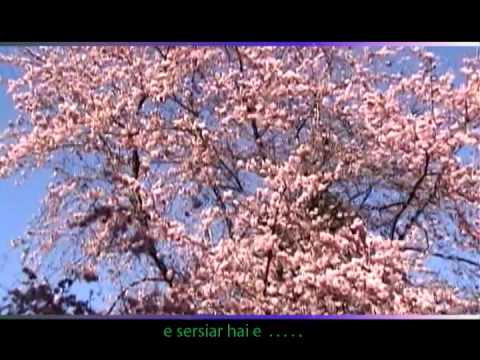 Faizong par e sirsiar