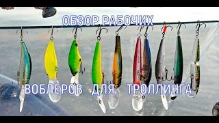 Троллинговые воблеры на щуку лучшие