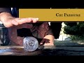 Chi Pressure  |  Grandmaster Wolf ©