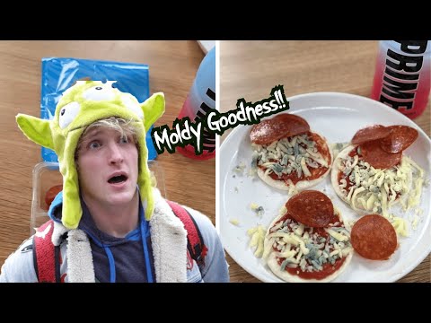 Lunchly: Moldy Goodness