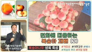 ✨변화에 대응하는 복숭아 재배(2) _ 복숭아 나무 생육 특성 / 개장성, 뿌리, 과원 배수, 저장양분