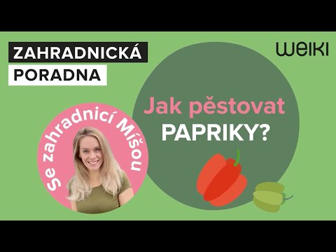 , title : 'Jak zasadit a pěstovat papriky? To vám řekne zahradnice Míša Brabcová'