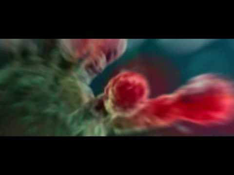 Diario del Coronavirus, Maurizio Ferrara