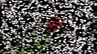 Neon Junior - Harus Pergi .wmv D&#39;masiv