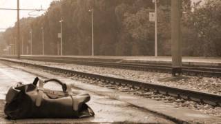 Il peso della valigia - Ligabue...