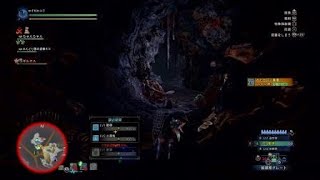 【MHW:I】完全に捕獲したと思った