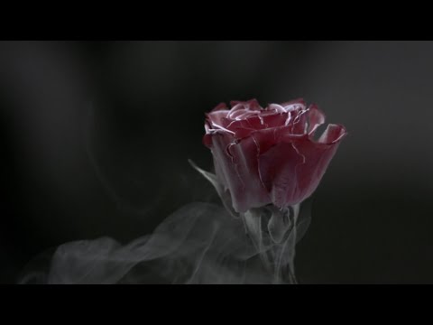 TẤT CẢ CÙNG CHIẾN ĐẤU VÌ (ALL WE FIGHT FOR) - LPL Mùa Hè 2020