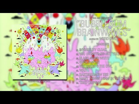 Weird Owl (New York) - Bubblegum Brainwaves (2017) | Full Album