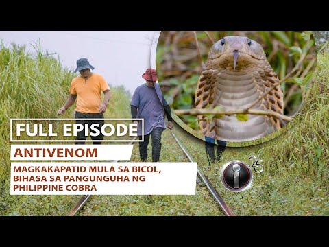 'Antivenom,' dokumentaryo ni Kara David (Full Episode) | I-Witness
