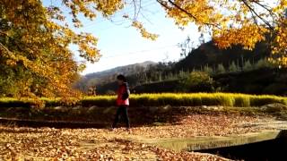 preview picture of video '[Korea Autumn]진안 하초마을 마을숲에서 가을.'